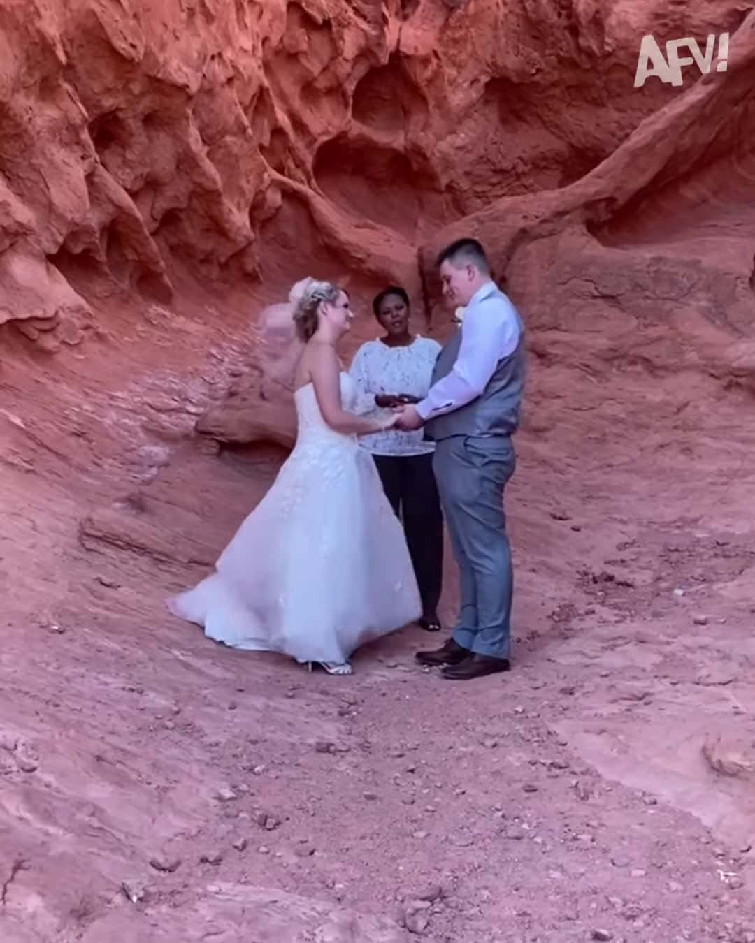 Cover for Vows are supposed to be funny, right