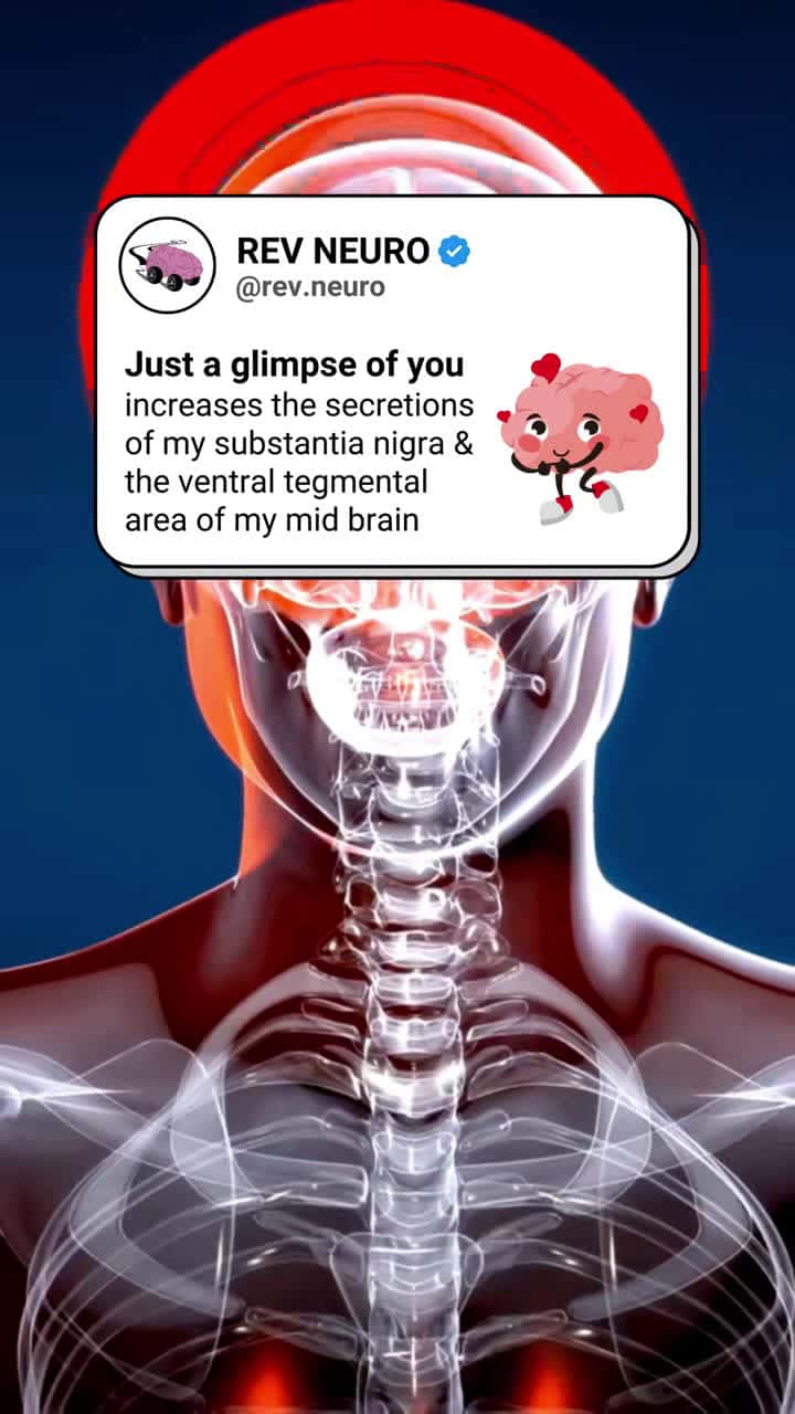 Cover for The only reward I’m seeking is you… 🧠 this addiction is getting realer by the day.  You know where to find more ➡️ @rev.neuro #brain #neuro #neuroscience #rizz #medschool #anaotmy @REV NEURO | Brain Tok