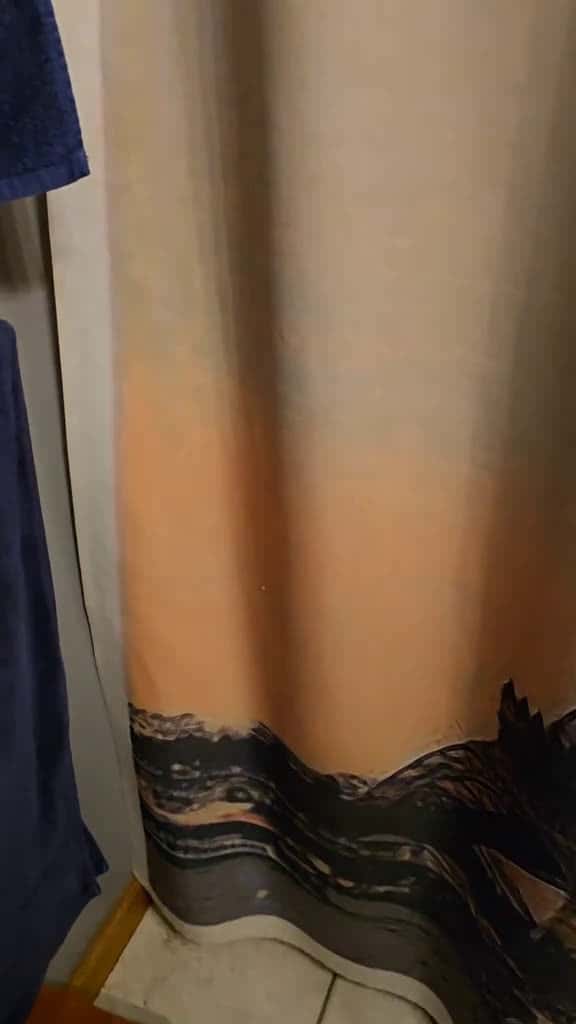 Cover for Lint loves the shower. He plays in the tub and loves to hide behind the curtain. #GarnoHomestead #cats #catsoftiktok #cattok #funnypets  created by Garno Homestead LLC with Gold-Tiger’s Funny