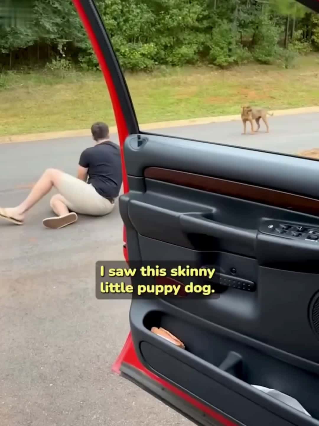 Cover for Homeless dog senses kindness when a stranger shows concern.