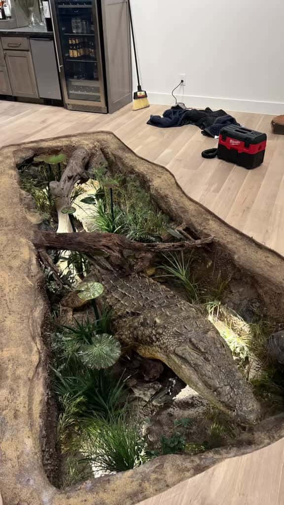 Cover for Dreaming of the ultimate trophy room? Check out this jaw-dropping floor! 🏆🏞️ #TrophyRoom #ManCave #Taxidermy