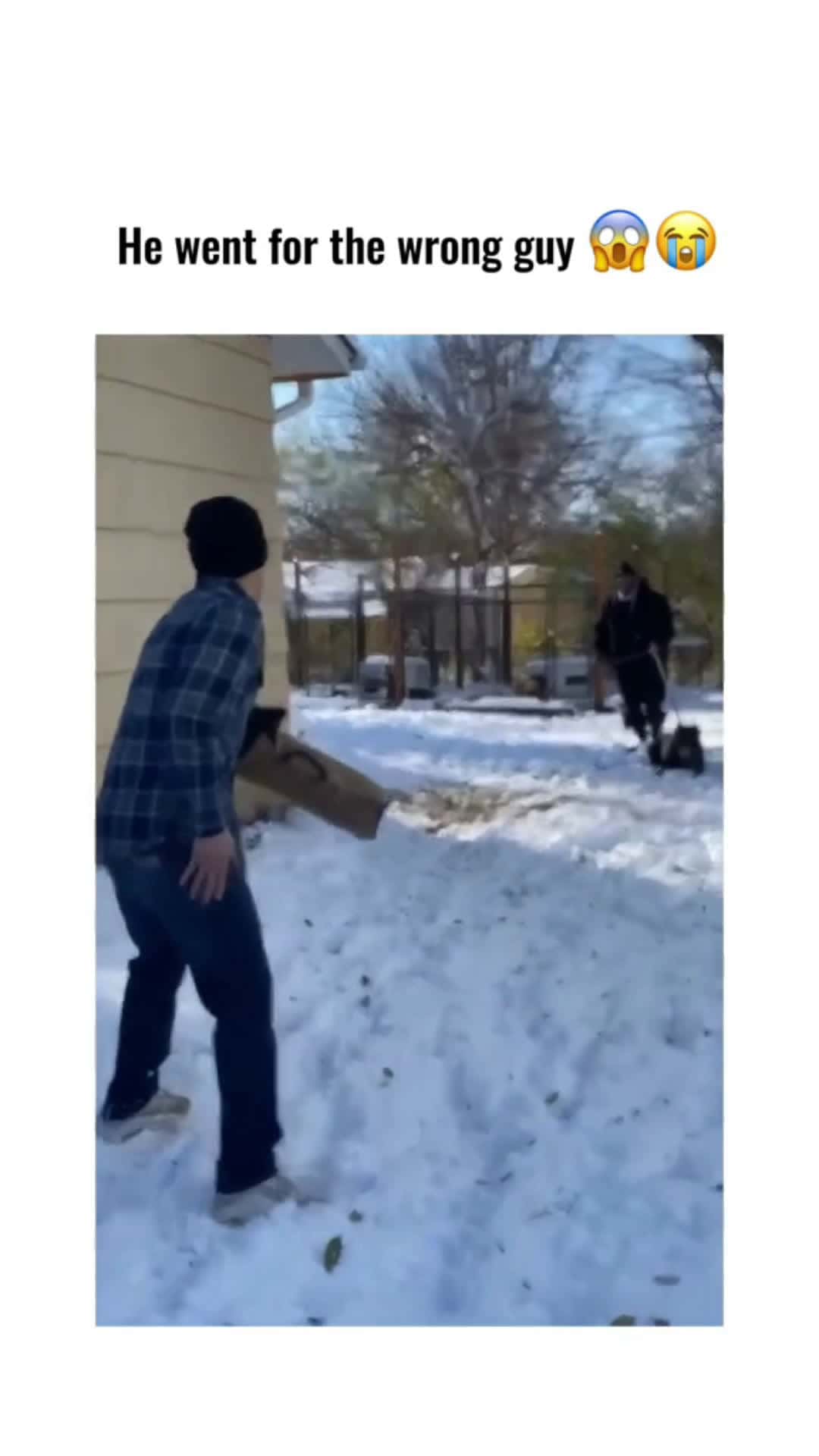 Cover for Guard dog training GONE WRONG #guarddogfail #guarddogtest #guarddogonduty #guarddogchallenge #guarddogstatus #dogattacks #attackdog😂 #guarddognation