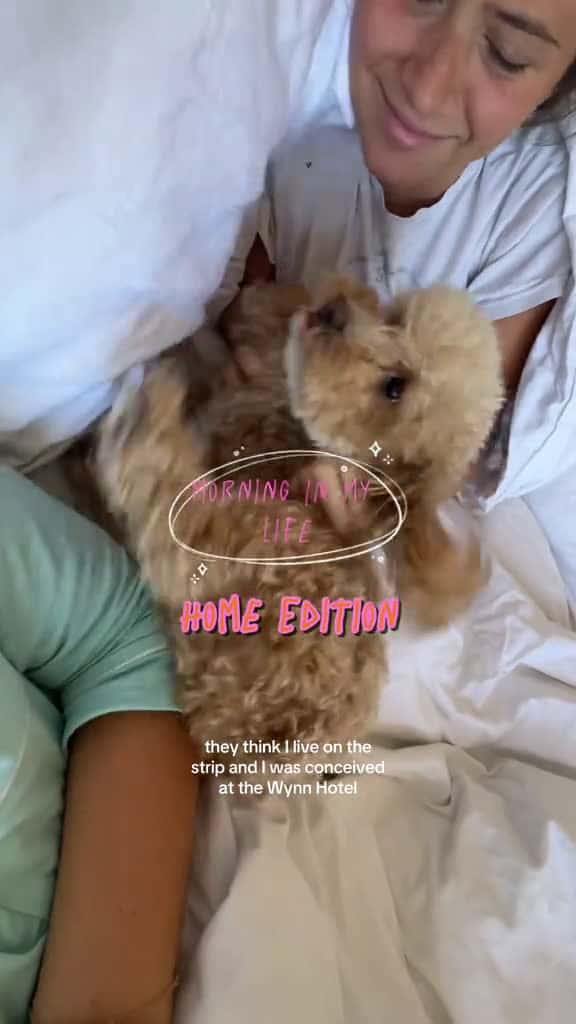 Cover for morning in my life las vegas edition Home Vlog homevlog lasvegas morninginmylife  42506 #trendingscoopz