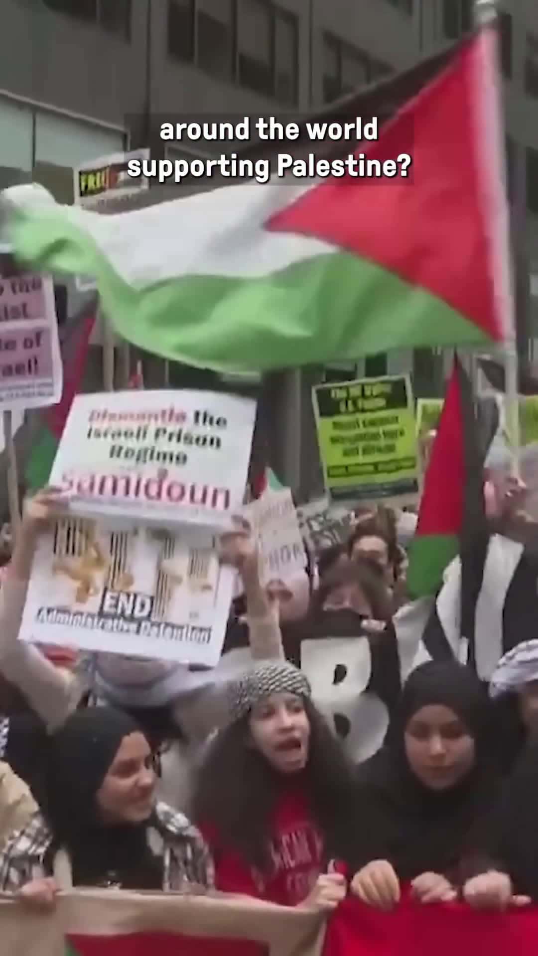 Cover for Why People are Siding with Palestine