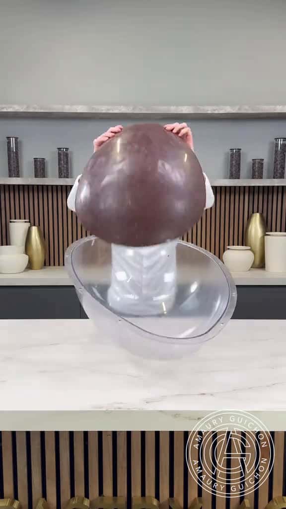 Cover for Chocolate Sea Turtle Totally gnarly dude amauryguichon chocolate nemo 27726 #shortvideos