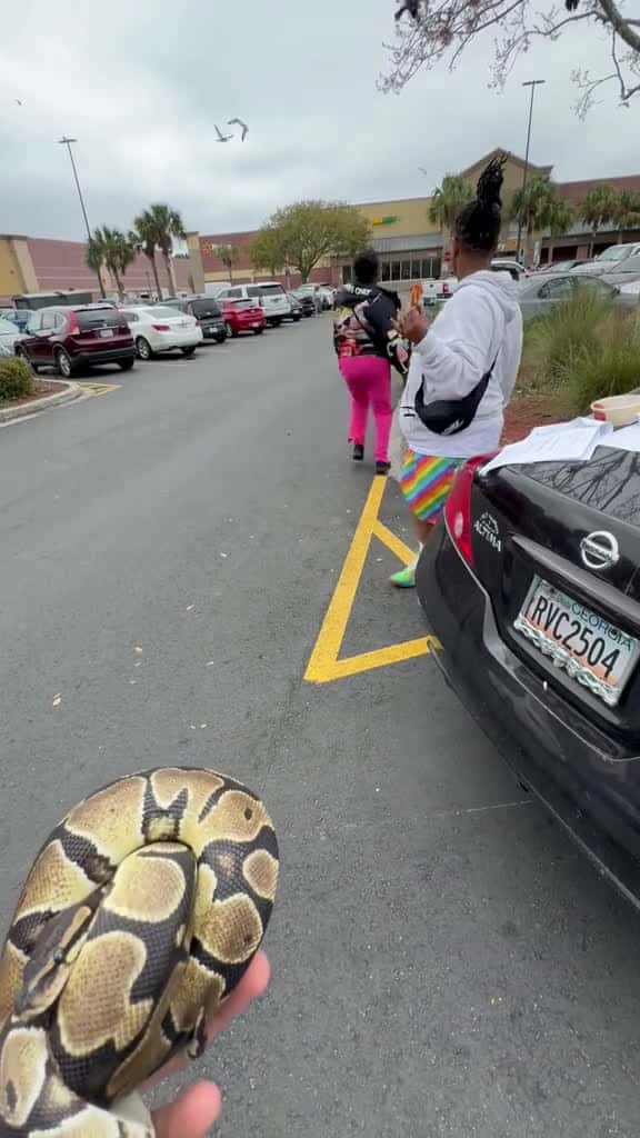 Cover for SNAKE Prank GONE WRONG fyp foryou viral explore funnyvideos share blowthisup funn 45678 #trend