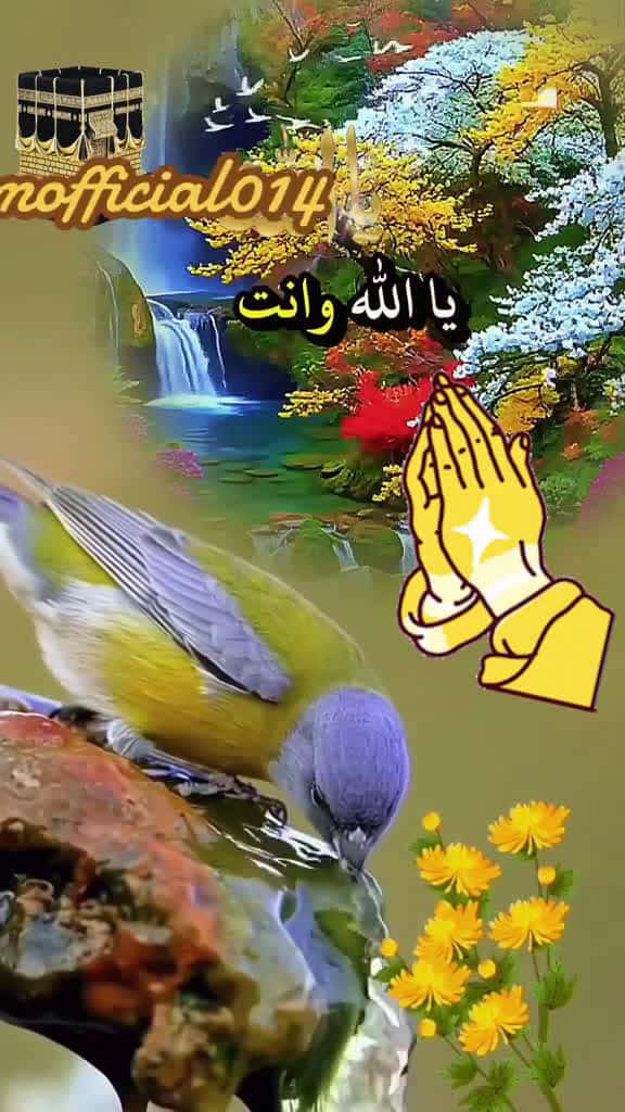 Cover for CapCut                     foryou islamic video fppppppppppppppppppppppppppppp fyp amine v 64598 #shortvideos
