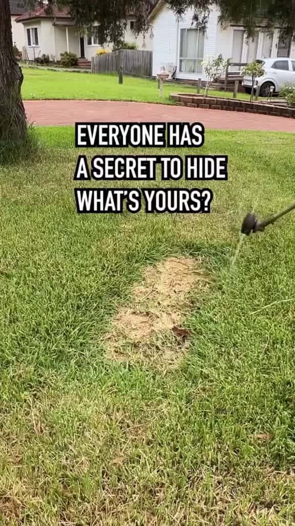 Cover for Ultimate Cleaning Lawn Care ASMR So Satisfying You ll Want to Clean uncloggingdrains cutti 44970 #america