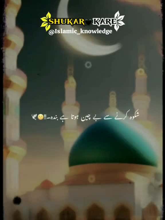 Cover for Gratefulness towards Allah remembranceofislam islamic video viral islamictiktok grow trend 97152 #american