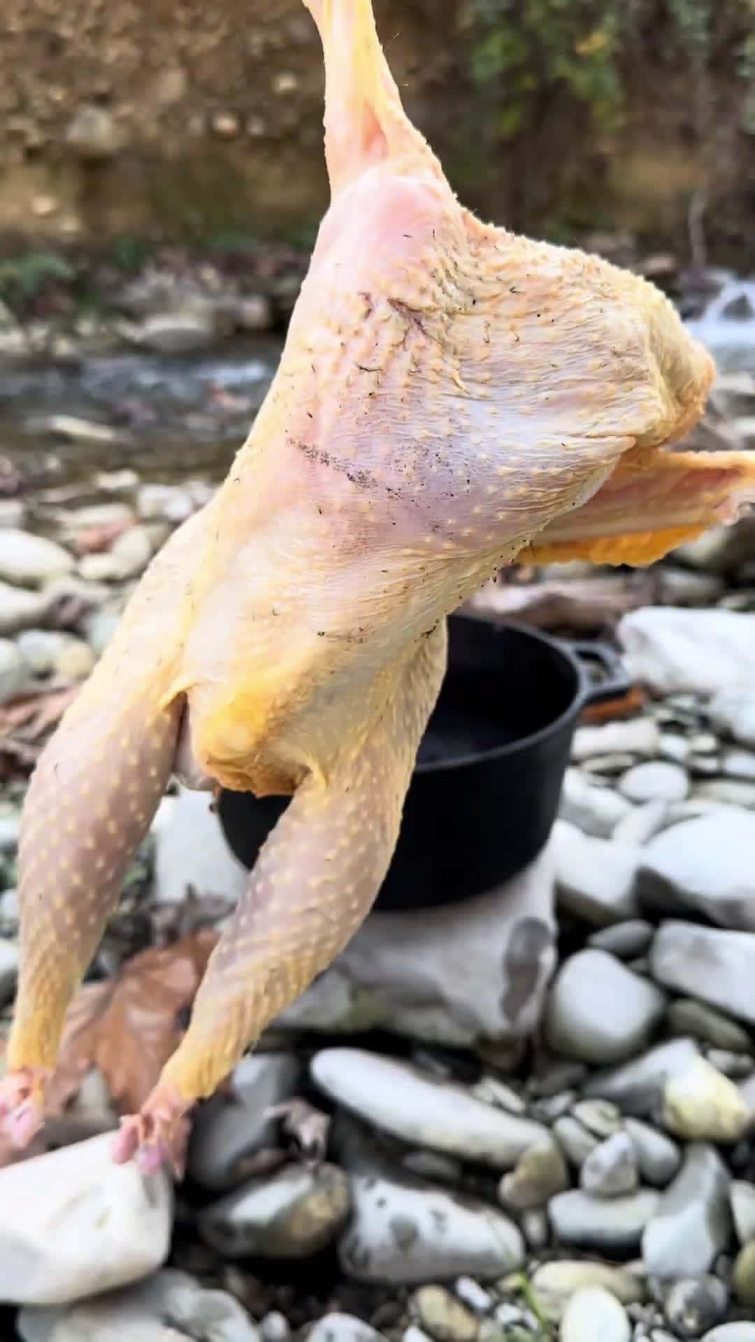 Cover for Soslu tavuk orbas Saucy chicken soup