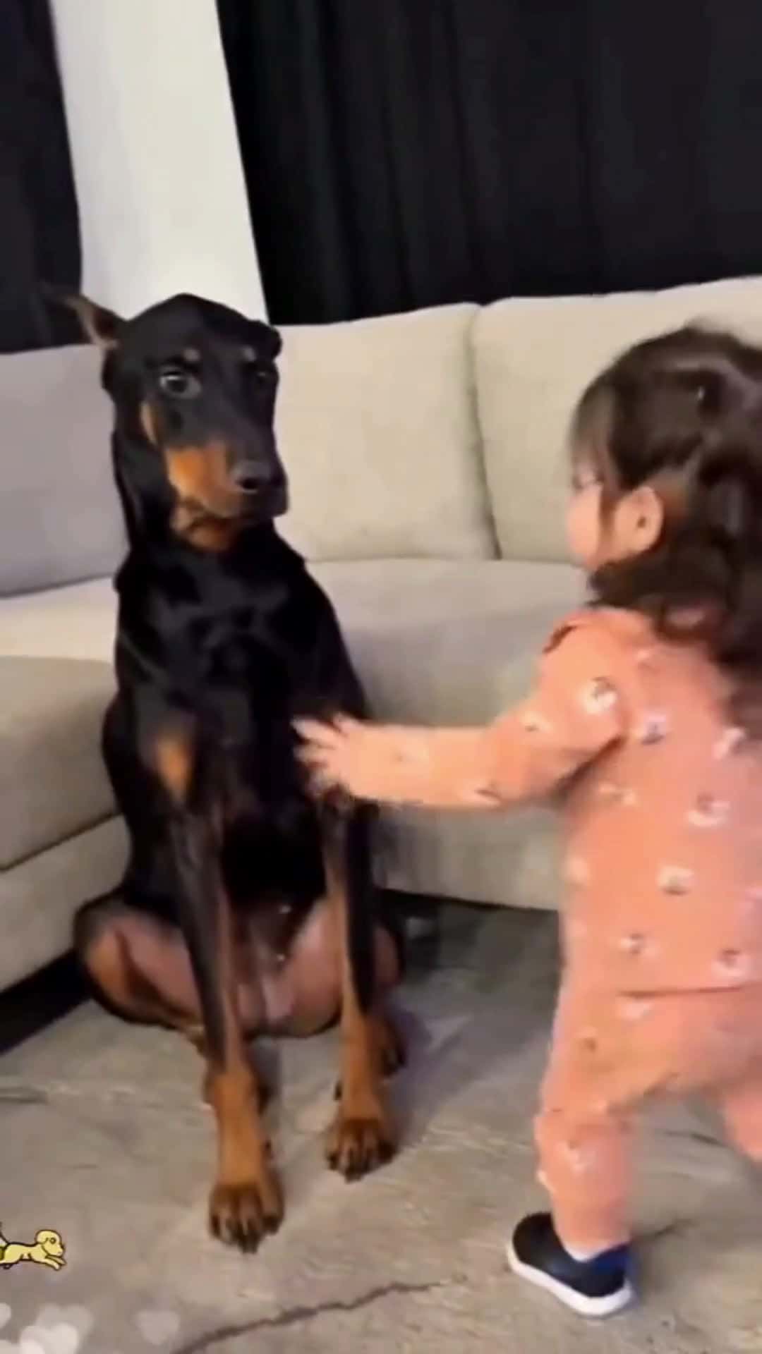 Cover for the dog is sick so the baby is feeling very bad