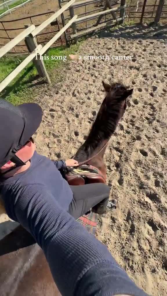 Cover for That pick up tho equestrian cantering englishriding equestrianlife ottbtraining ottbmare 32686 #followMe