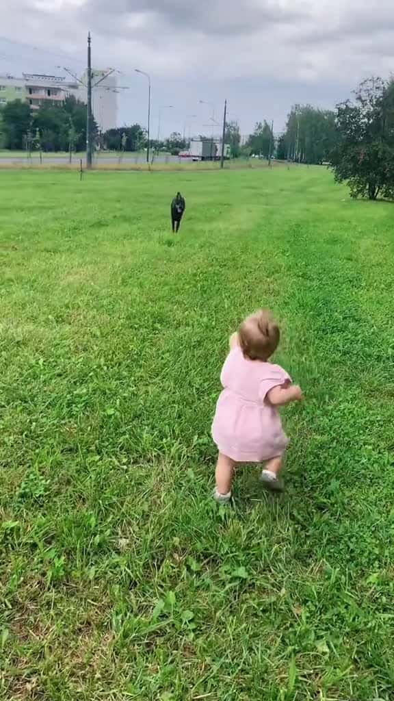 Cover for Dog enjoy spending time with children dog baby Love pet bestfriend cute dogsoftiktok foryo 67563 #shortvideosscoopz