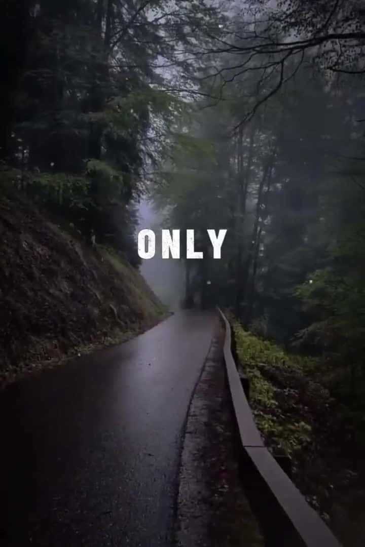 Cover for Hallelujah ✝️🙏