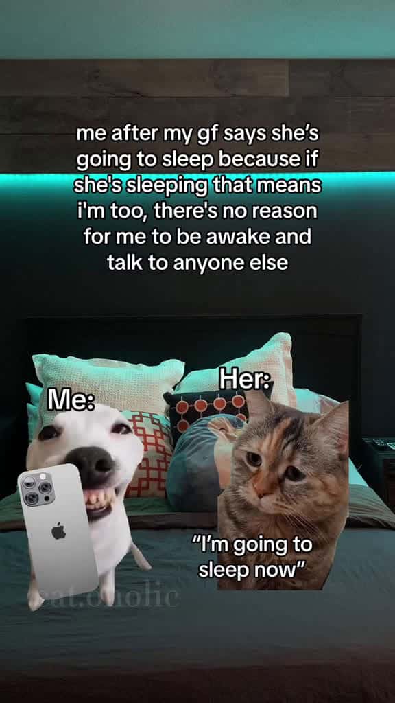 Cover for Relatable  cat cats meme catmeme catvideos cattok funny girlfriend relationshipme 17152 #shortvideos