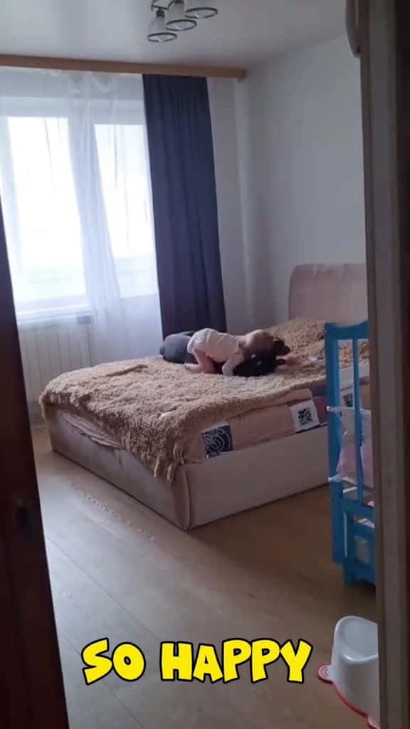 Cover for Dog and baby so happy dog baby Love bestfriend cute digsoftiktok funny foryou uausa 83662 #shortvideos