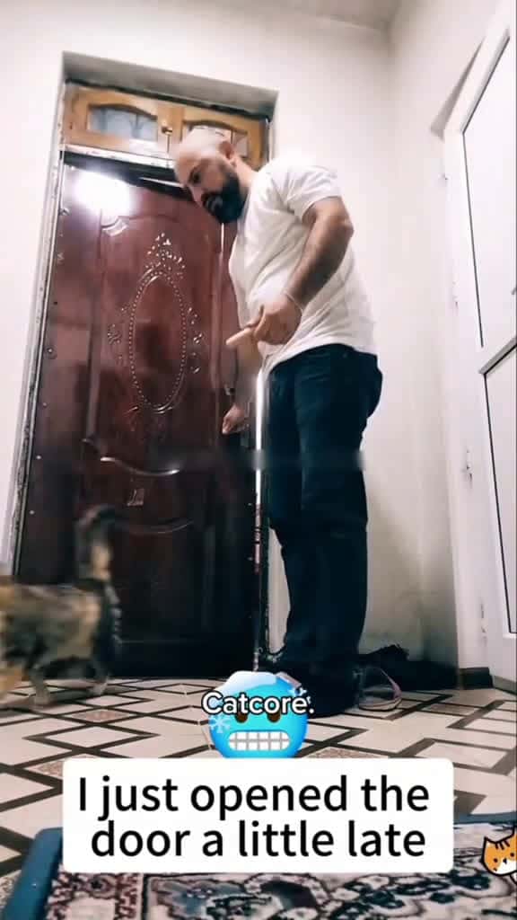 Cover for Funny cat master 04223 #followMe