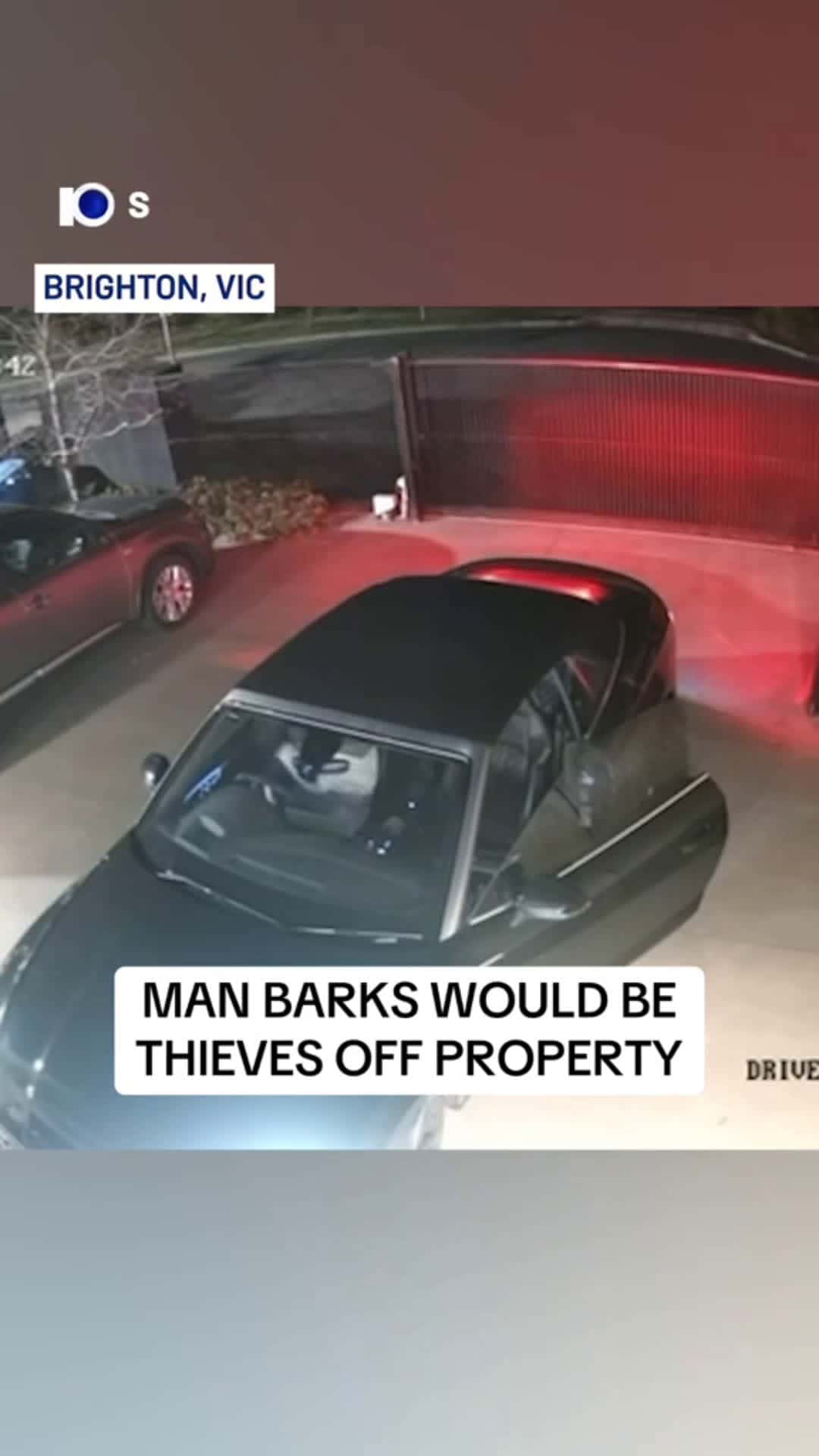 Cover for Two would be thieves have had a ruff night after a Melbourne#scoopz#fyp