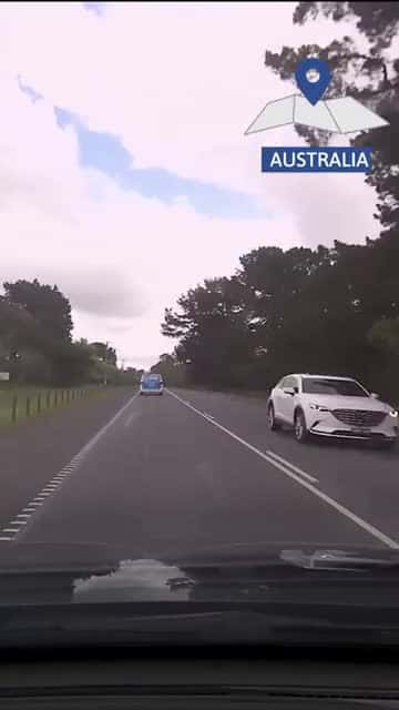 Cover for MAZDA ATTACKED BY FALLING TREE