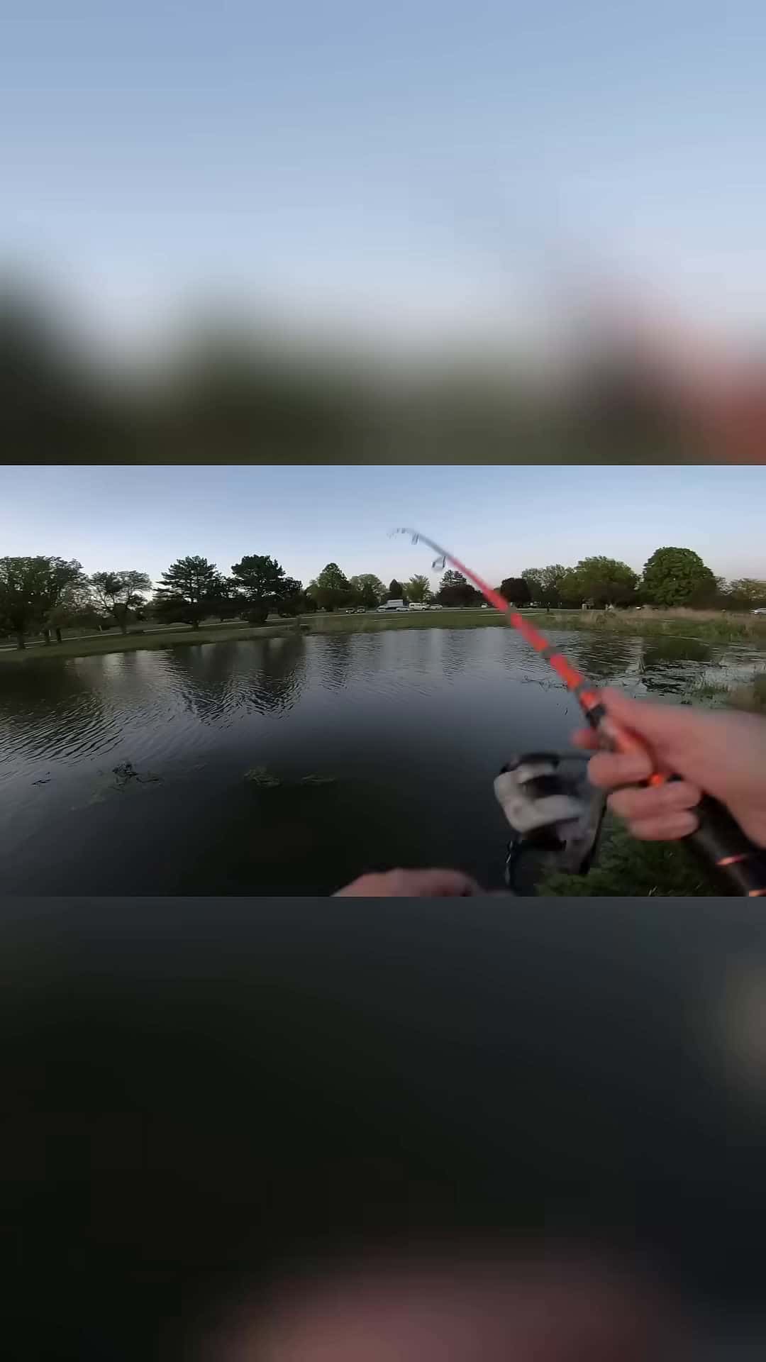 Cover for WHAT DO YOU THINK IT WAS lostfish fishingfails fishing mobydick fishtales