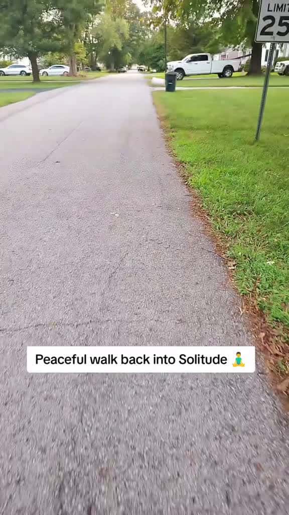 Cover for peaceful walk back into solitude. #peaceful #walk #minecraft #soundtrack #fypシ゚viral  created by Mrfeastman with C418’s Subwoofer Lullaby