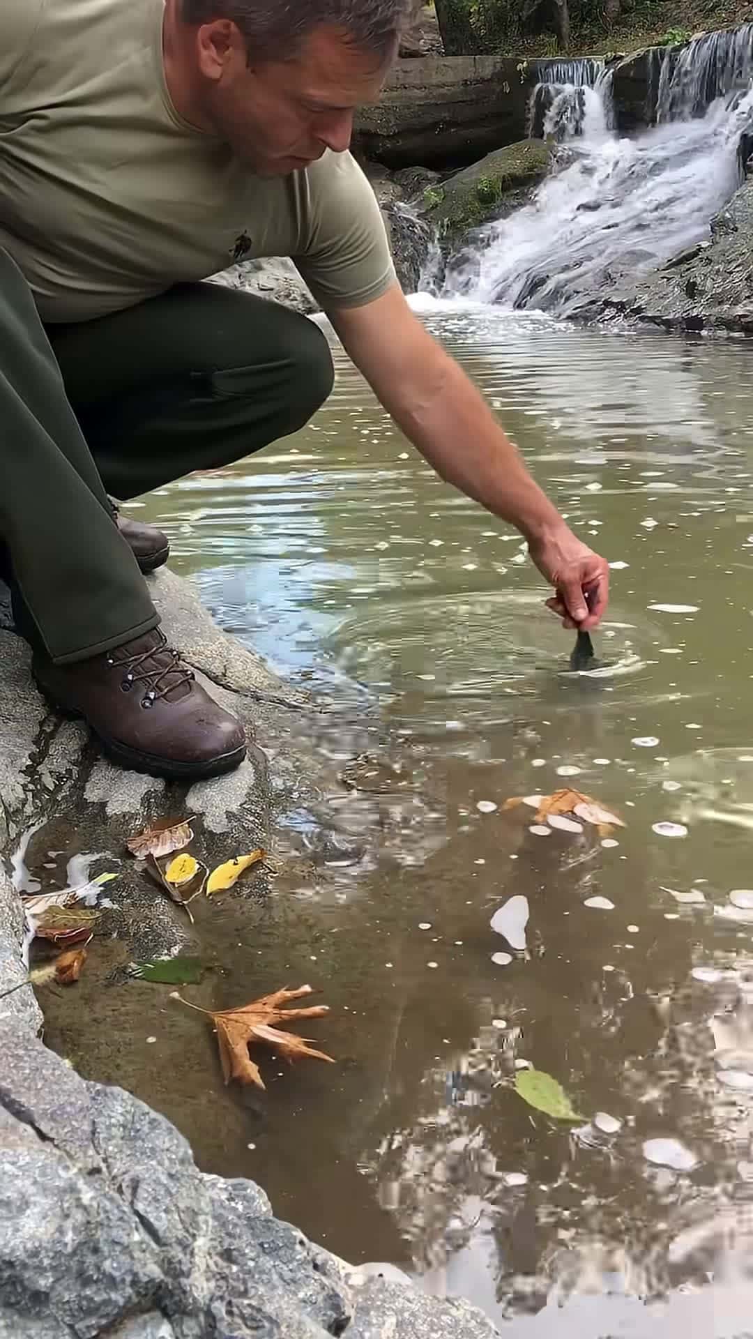 Cover for Tada balk drm Fish wrap cooked on stone fishing cooking food asmr