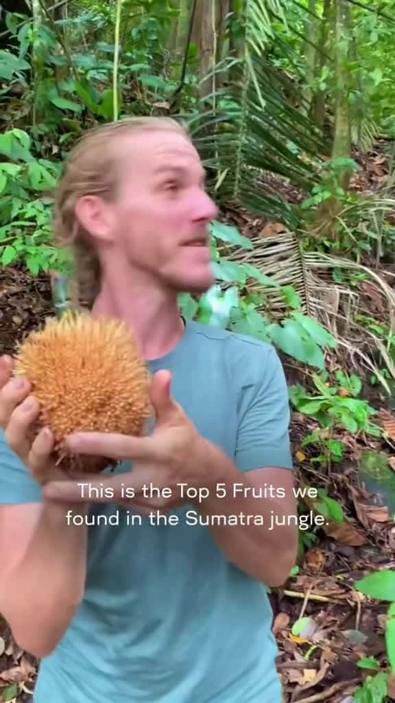 Cover for Top 5 fruits in the Sumatra jungle 1. Pedalai how prehistoric does this one look  03398 #trendingscoopz