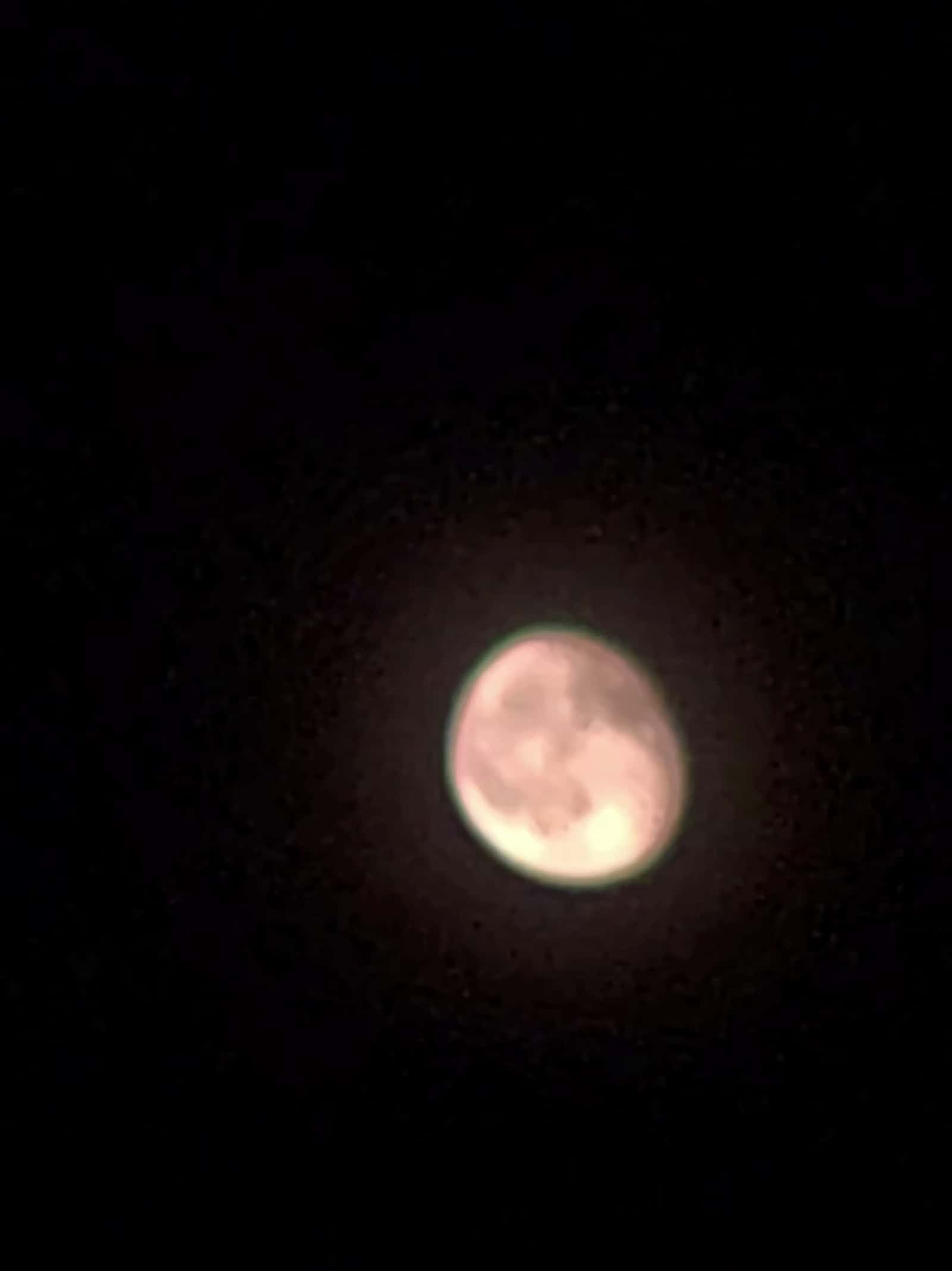 Cover for gotta love the moon 