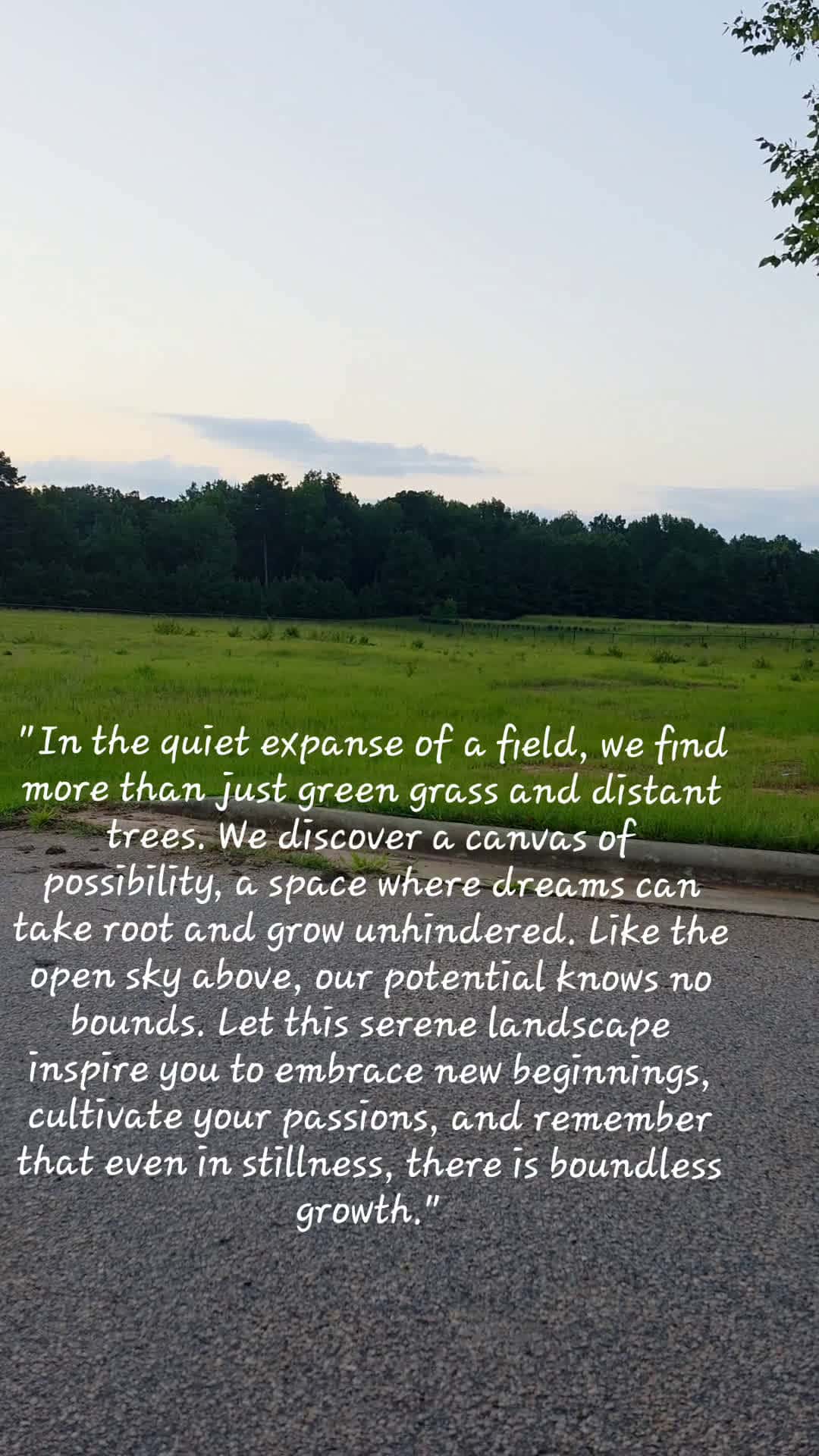 Cover for #peace #meditation #nature 