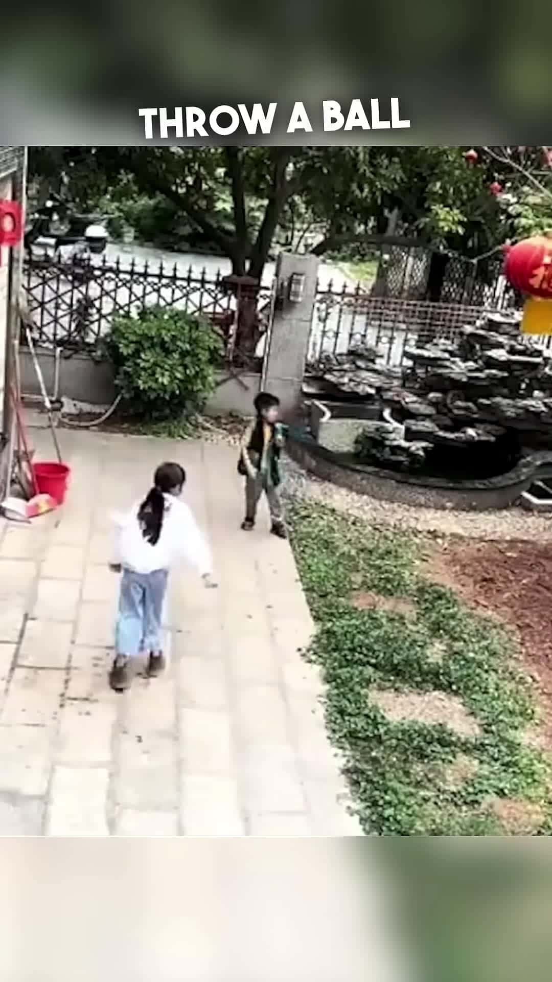 Cover for This dog is a hero