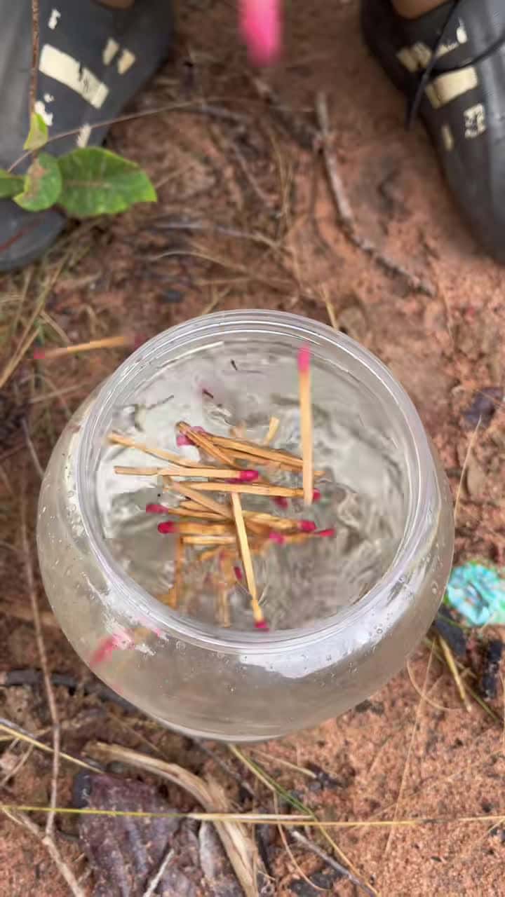 Cover for Survival Skills:SIMPLE and USEFUL in forest 🌳 #camping #outdoors #bushcraft #useful #idea