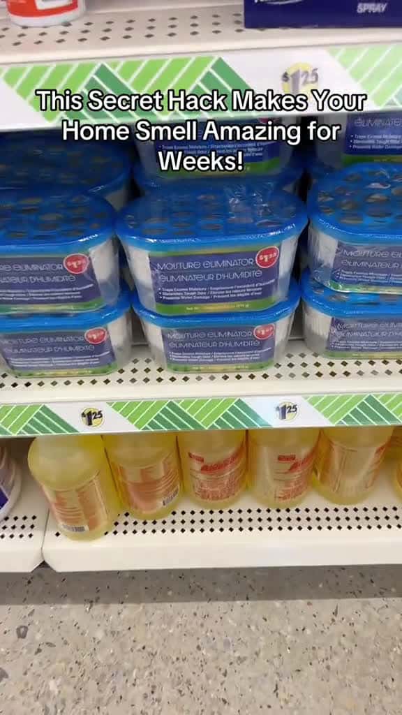 Cover for This life hack will save your money. Your home will smell amazing for weeks  DIYH 76906 #shortvideosscoopz