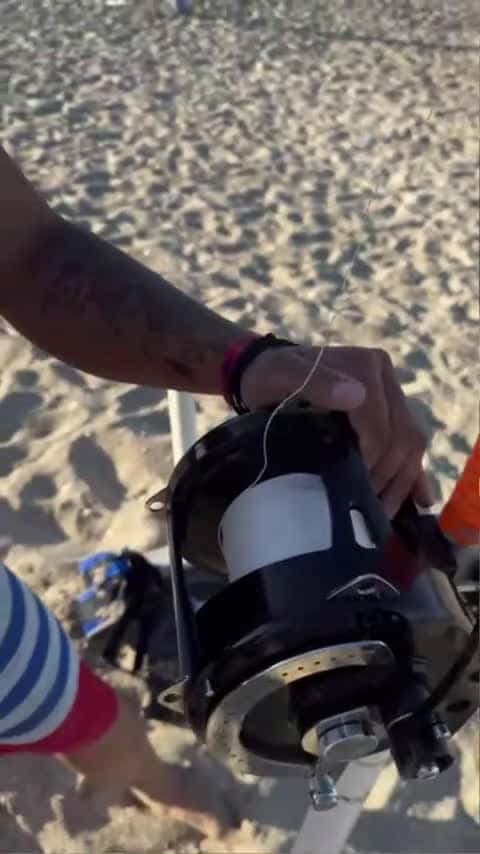 Cover for 😱OMG😱 #shorts #fishing #shark #fish #florida #hammerhead #lbsf #landbased #sharkfishing #wow_092 (2)