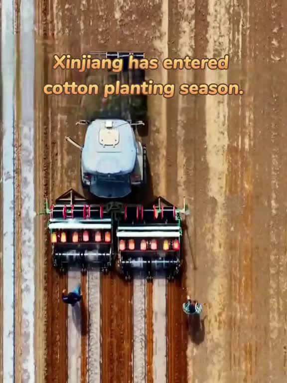 Cover for Cotton planting season has arrived in Xinjiang China and large-scale mechanized farming is 43630 #shortvideosscoopz