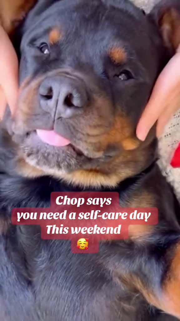 Cover for Take a self care day this weekend and relax Stay in put on a face mask drink a tea enjoy w 41247 #trending