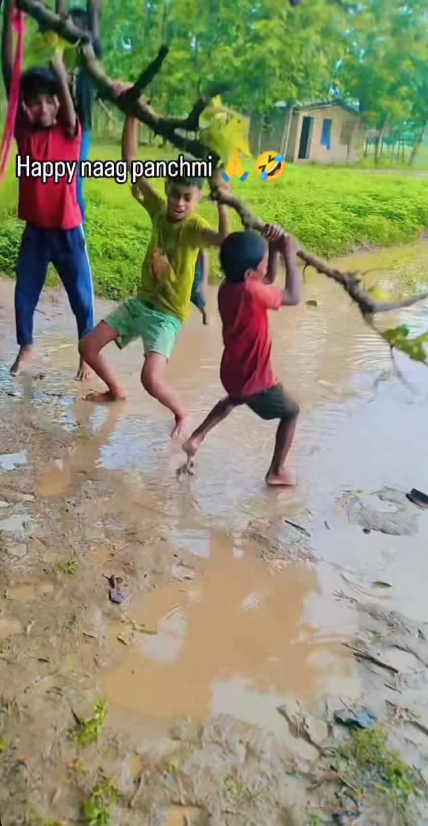 Cover for 🙏😂