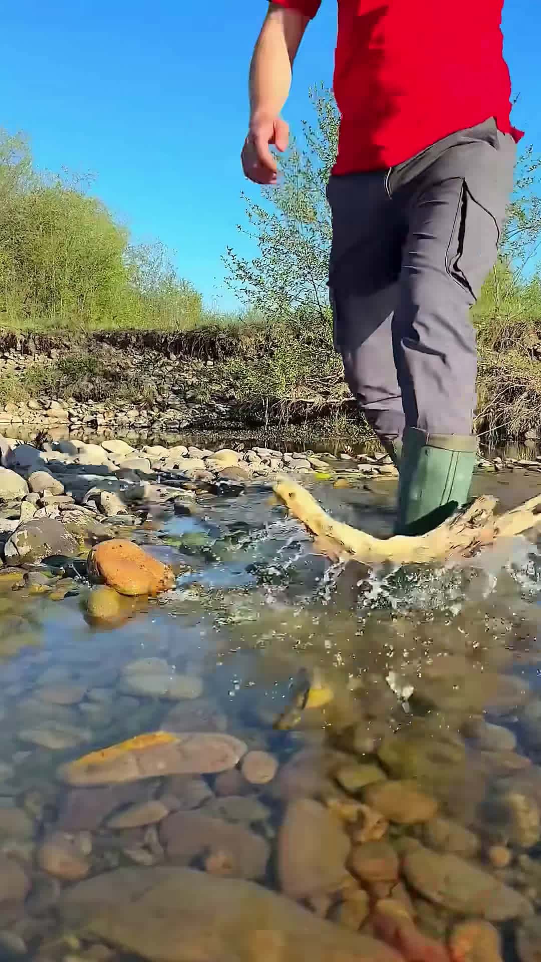 Cover for Survival bushcraft skills #camping #outdoors #survival #adventure #asmr #skills #building