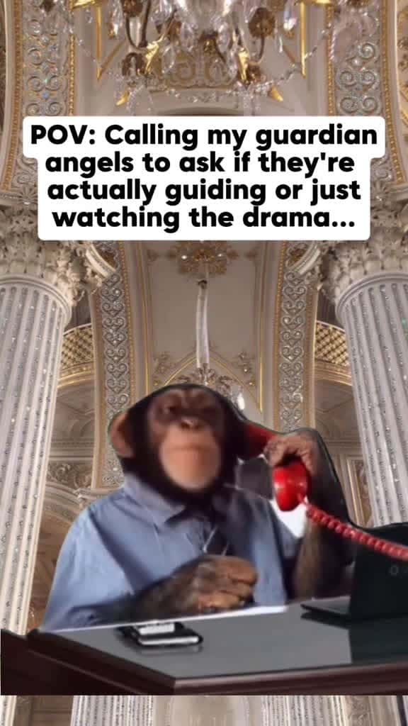 Cover for POV: Calling my guardian angel to ask if they’re actually guiding or just watching the drama….. 👈🏼 #angel #guardianangel  created by elizabethsummerbell with Steph Roberts’s original sound