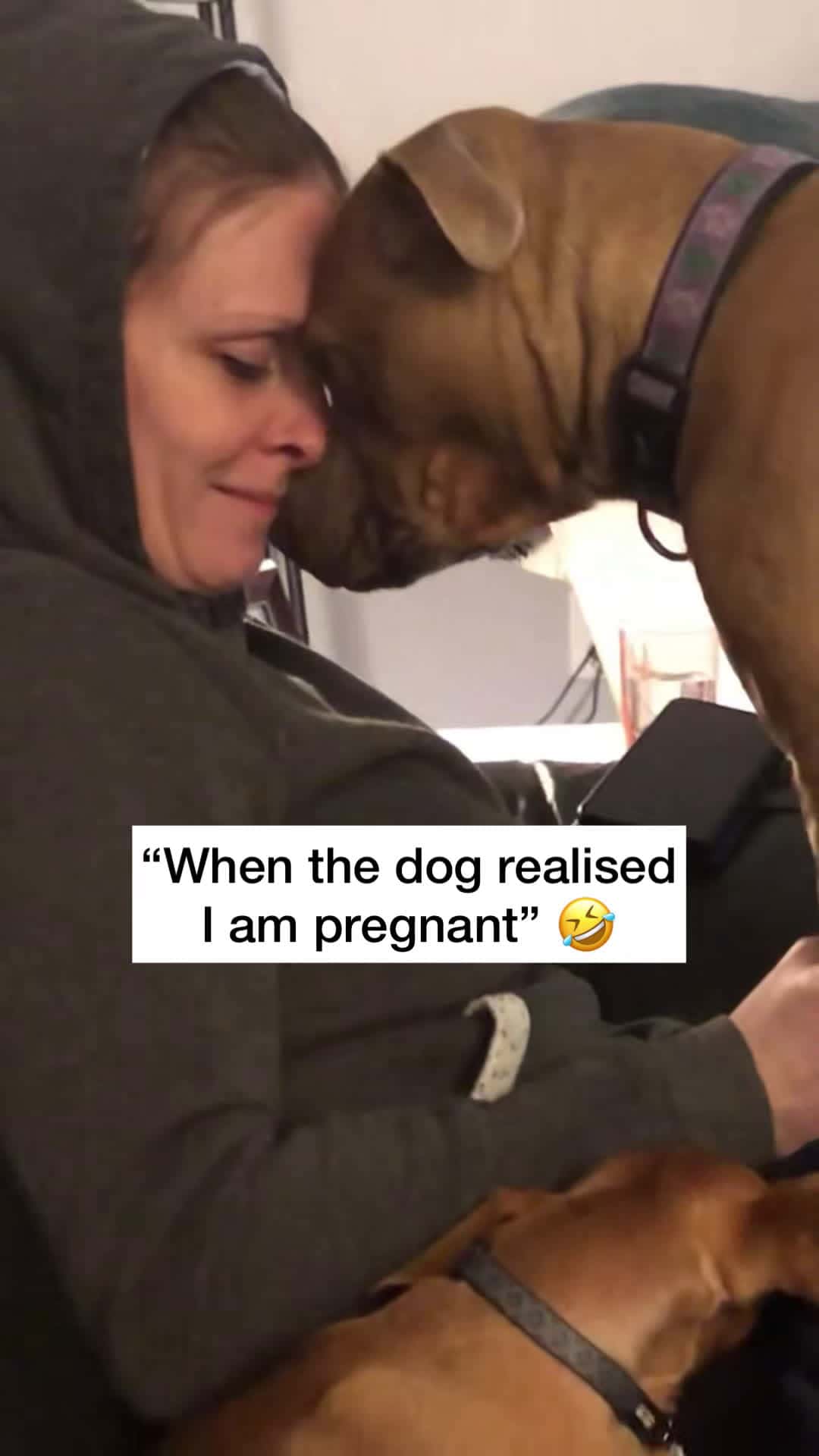 Cover for “I am the baby in this household” 😒😅 🎥: Content Bible #unilad #fyp #foryourpage #dramaticmoment #surprised #animalslover