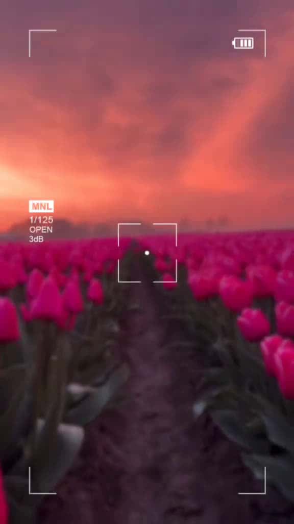 Cover for fyp fyp viral goodmorning trending explore fyyyyyyyyyyyyyyyy 32074 #shortvideos