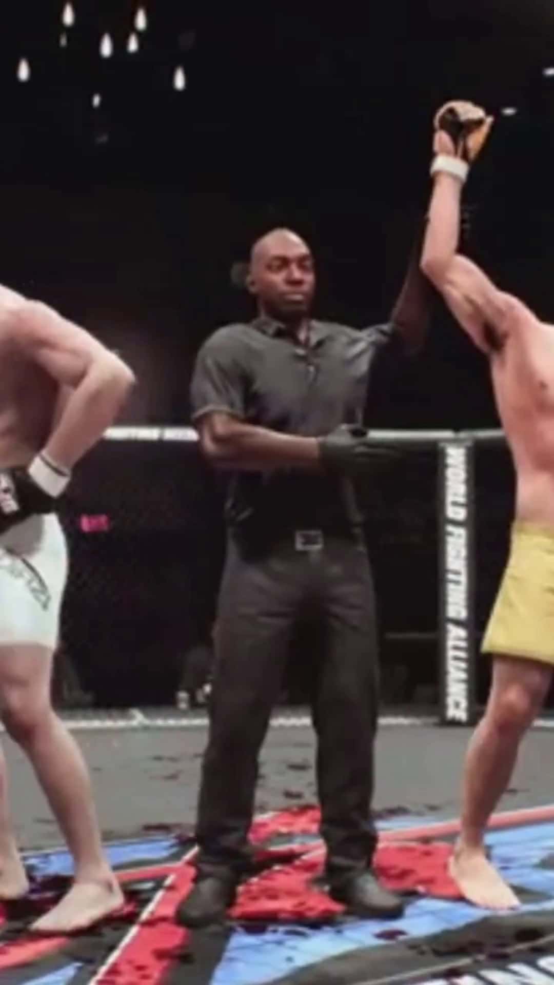 Cover for Bumblebee Seth Defeats Buster Roz By Decision  #ufc  #ufc5  #mma  #mmafighter  #ufcnews  
