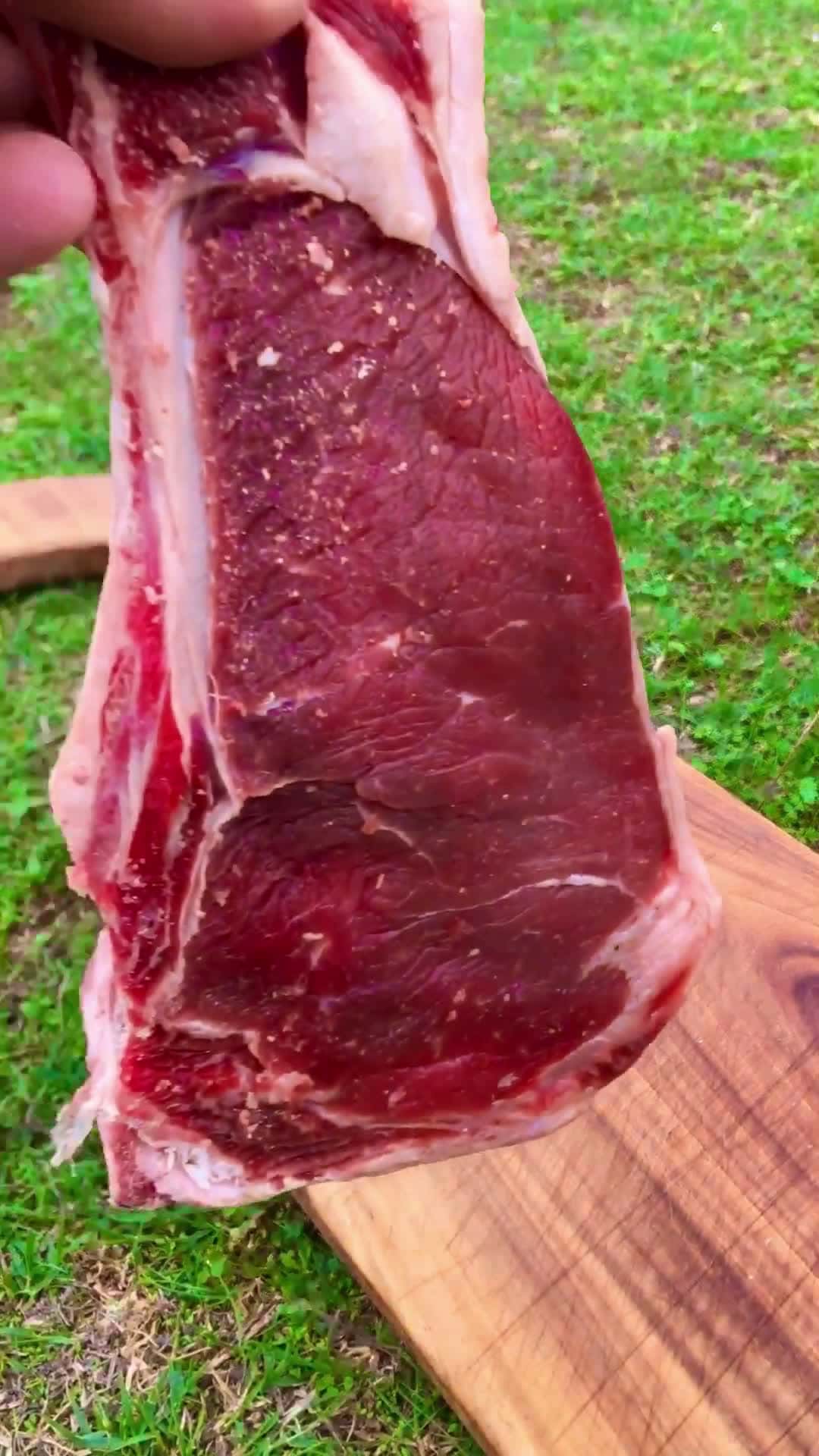 Cover for Ktk ocakta dana bonfile Beef tenderloin on the log stove food cooking asmr