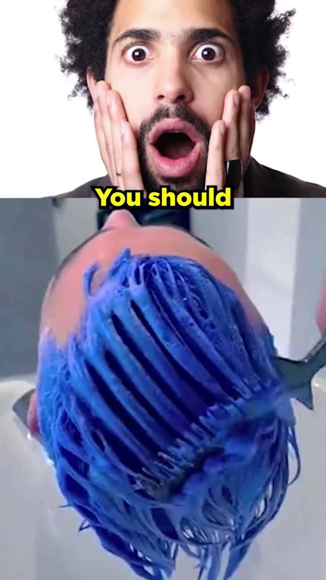 Cover for You Should Never Color Your Hair Blue