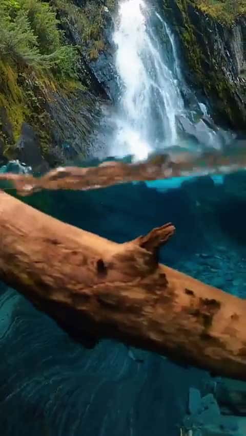 Cover for See the stunning contrast from above and below! 🌊 #Perspective #Nature #Wow