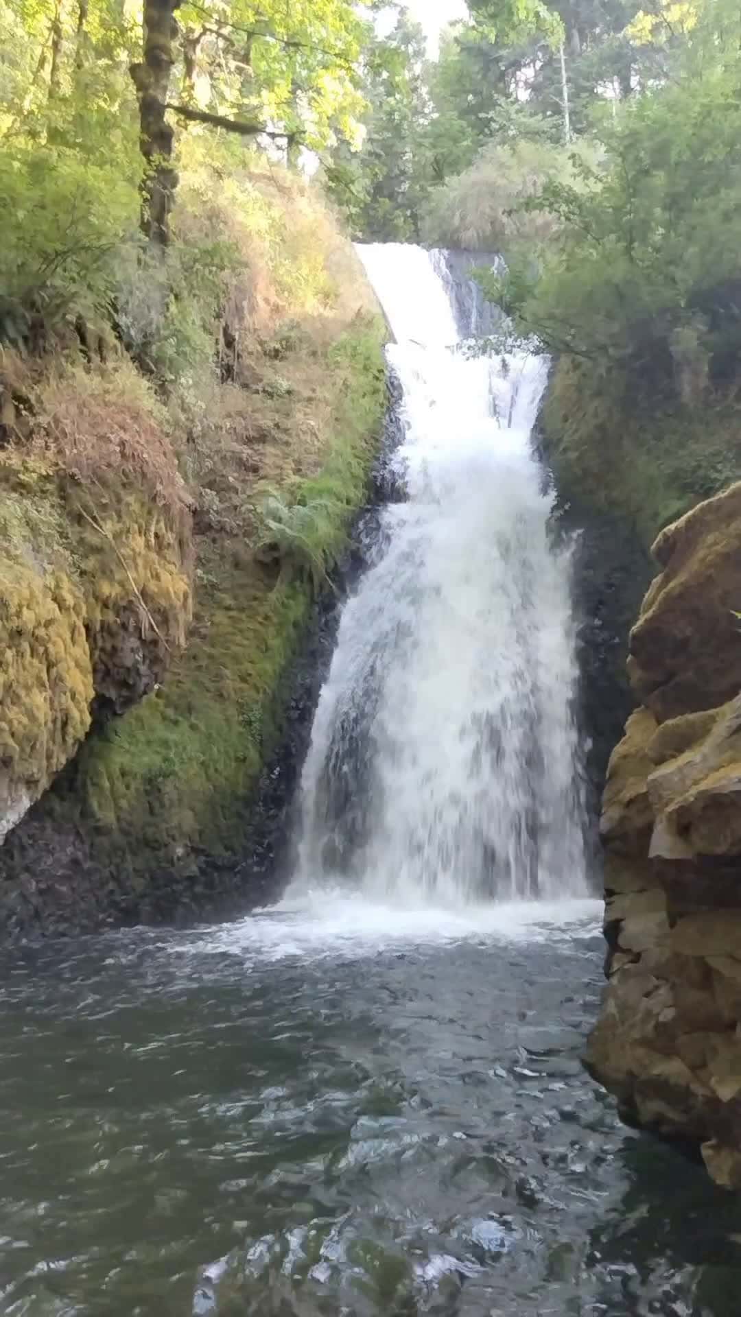 Cover for falls