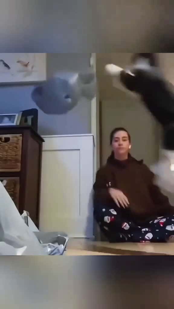 Cover for Cat funny voiceovere funnyvideos pet fouryou cat catsoftiktok catlover 32062 #followMe