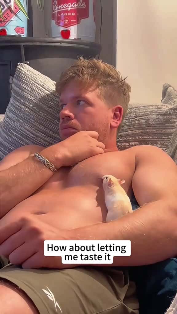 Cover for Would you like to have such a funny little hamsterfunny hamster funnyvideos foryo 65694 #followMe