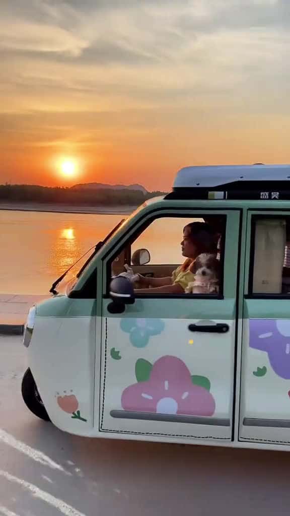 Cover for campinglife foryou fyp tricycle immersive carvideos minicar outdoor glamping electriccar c 01694 #america