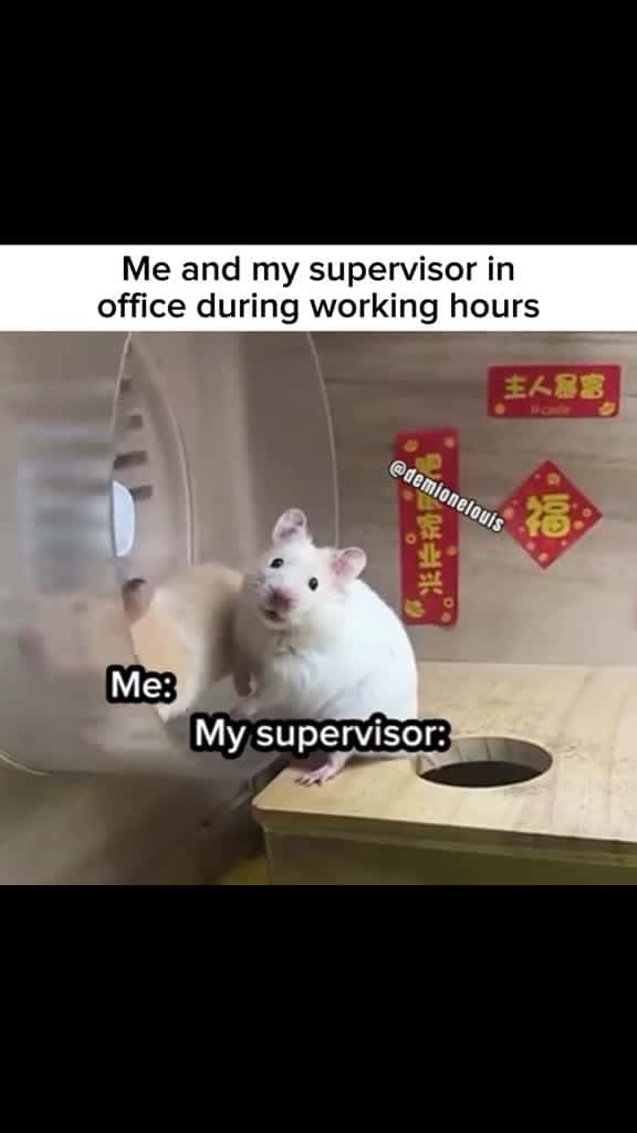 Cover for Work be like #CapCut #fyp #foryoupage #meme #viral #worklife #workbelike #adultingbelike #hampsters #mice