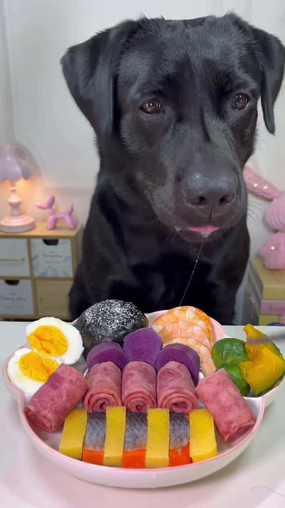 Cover for labrador dog asmr immersive eating 73390 #trend